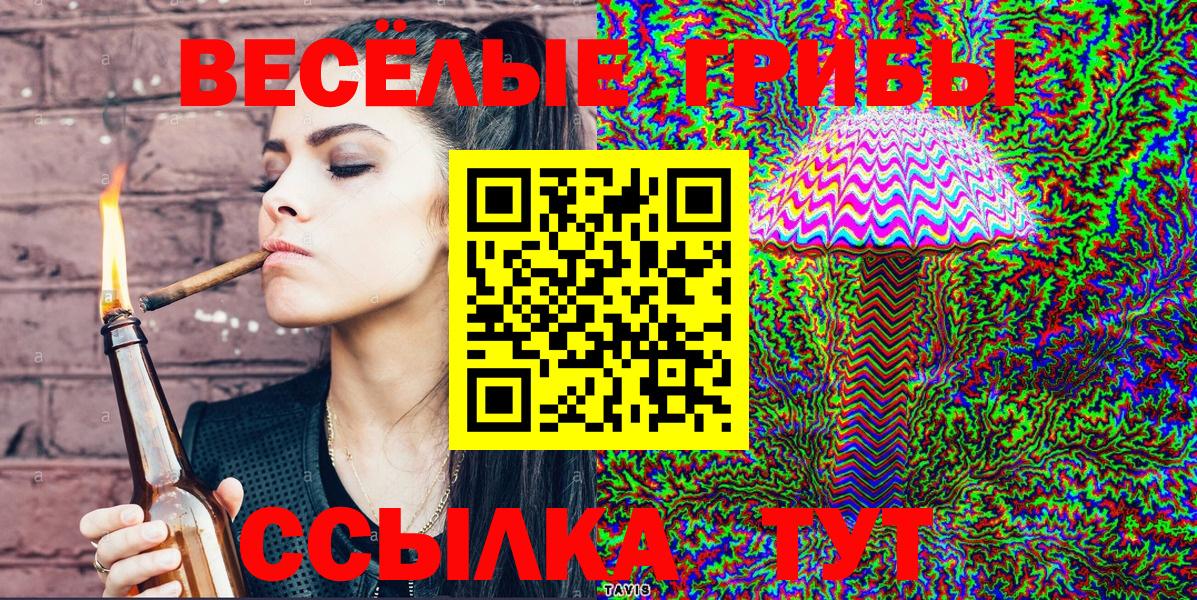 Галлюциногенные грибы Psilocybe Мелеуз