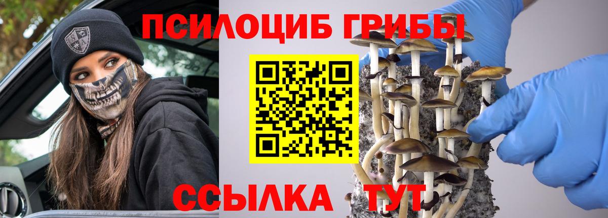 Псилоцибиновые грибы прущие грибы  Вход с VPN  Мелеуз 